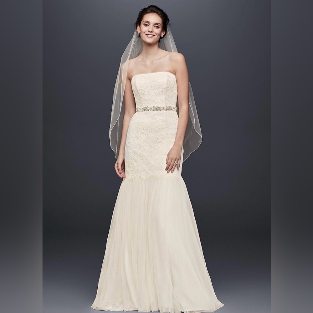 David’s Bridal Galina Strapless Wedding Dress